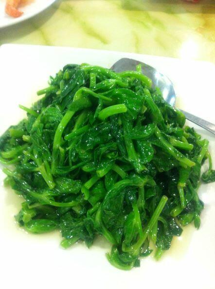 Sweet Pea Leaves